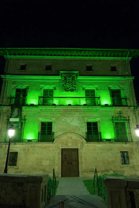 Durangoko Arte eta Historia museoa berdez argiztatuko dute zapatuan
