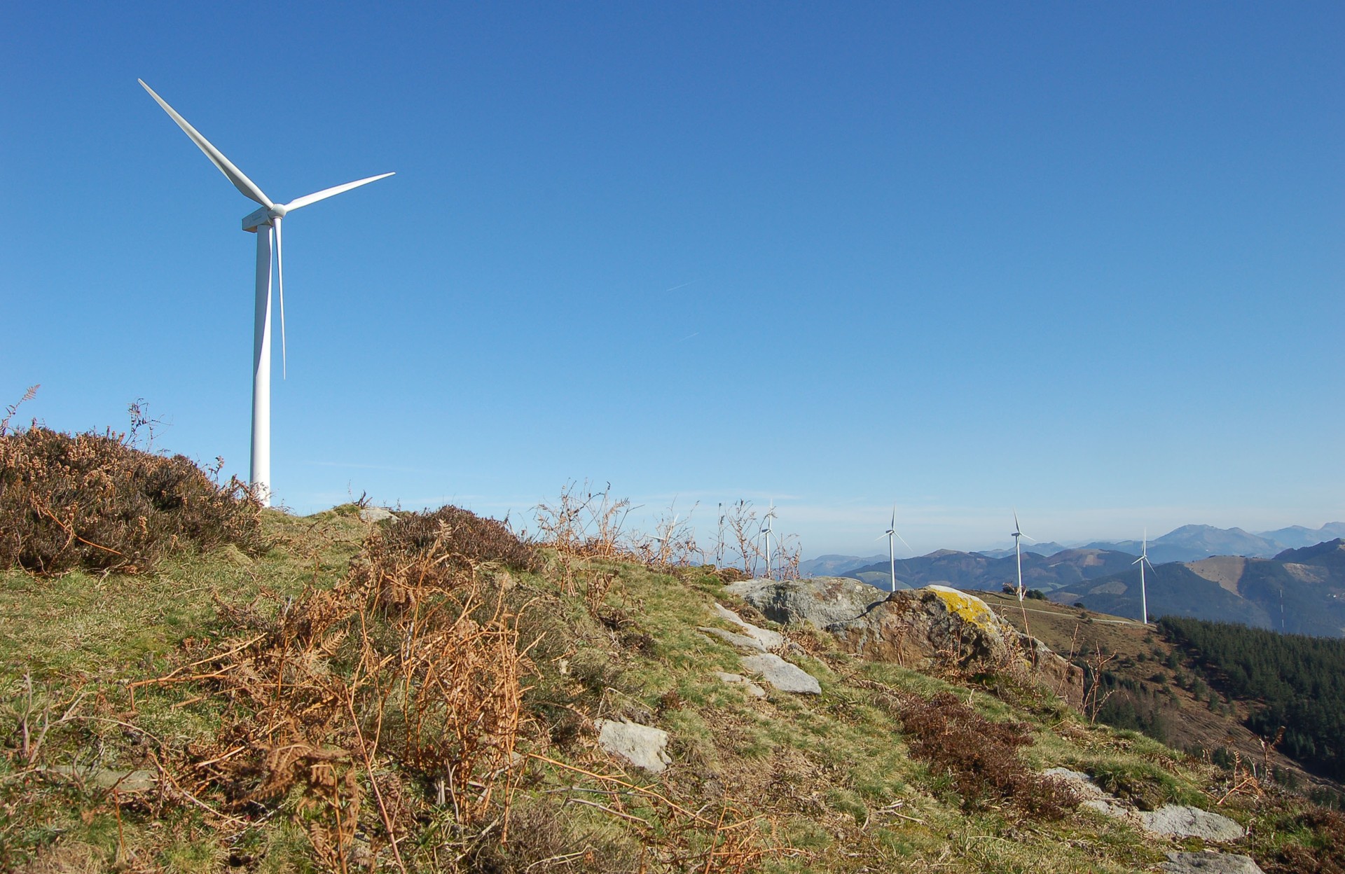 Bocineros-Deiadar ultra trail berria Oizetik eta Gerediagako juntetxe ondotik igaroko da irailean