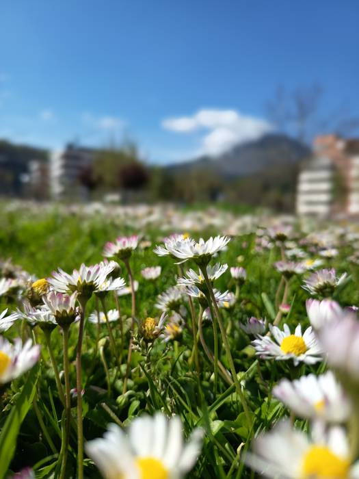 O sole mío!!