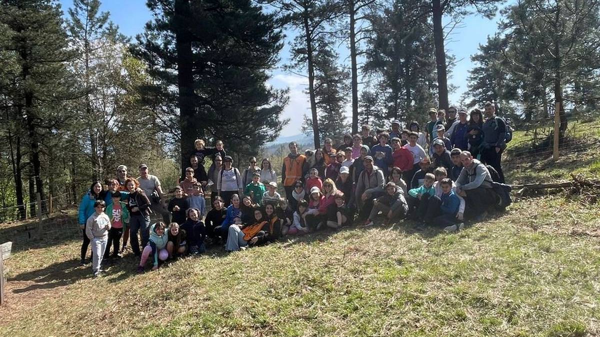 [ARGAZKI GALERIA] San Andres basoan 50 zuhaitz landatu dituzte, Durangoko Zuhaitz Egunaren barruan