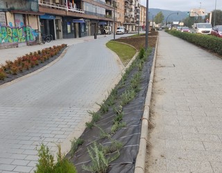 Bidebarrieta kaleko sarbidea kontrolatzeko kameren sistema indarrean dago Iurretan