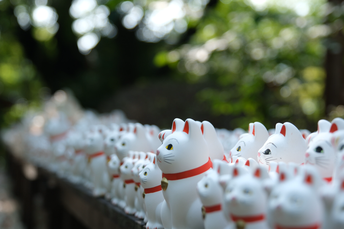 Gotokuji, katuen tenplua