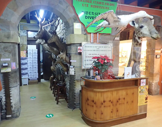 Mañariko Hontza museoak 2.200 bisitaritik gora jaso zituen 2025ean