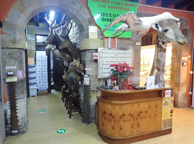 Mañariko Hontza museoak 2.200 bisitaritik gora jaso zituen 2025ean