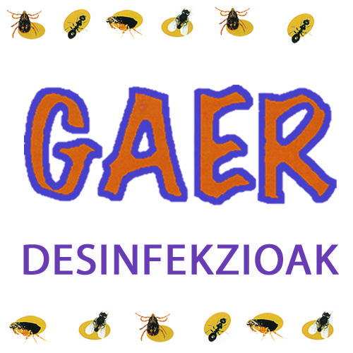 GAER logotipoa