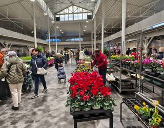 Baserritarren zapatuetako azoka hornidura merkatuan egonkortuko dute behin betiko