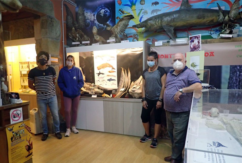 Itsasoan hondartuta hildako bale, izurde eta gehiagoren hezurrak ikusgai Hontza museoan