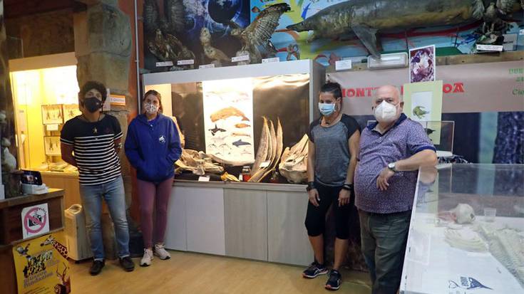 Itsasoan hondartuta hildako bale, izurde eta gehiagoren hezurrak ikusgai Hontza museoan