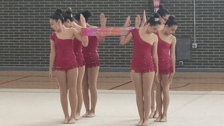 Gimnasia erritmikoaren Euskadiko Amateur Txapelketa