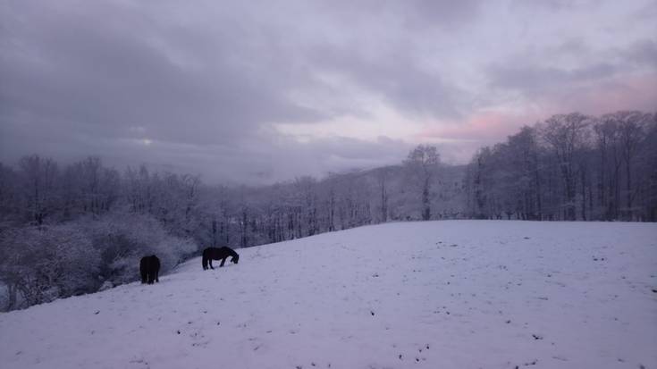 Urkiola garbitzen laguntzeko deialdia egin dute parke naturaletik astebururako