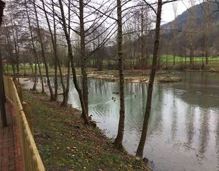 Natura ezagutzeko eta zaintzeko jarduerak Zornotzan