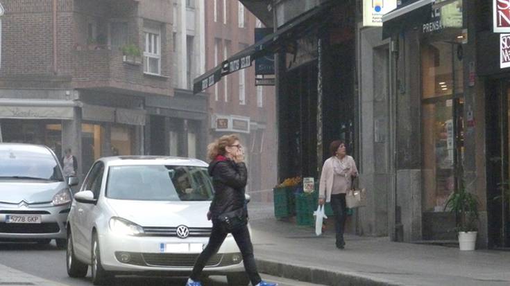 Auto gidari batek ume bi harrapatu zituen joan zen barikuan San Agustineko zebrabidean