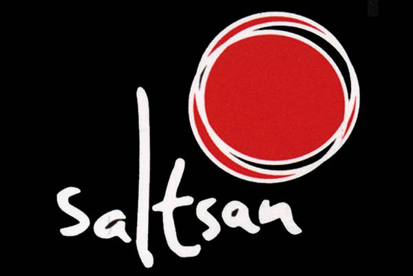 KATERIN SALTSAN logotipoa