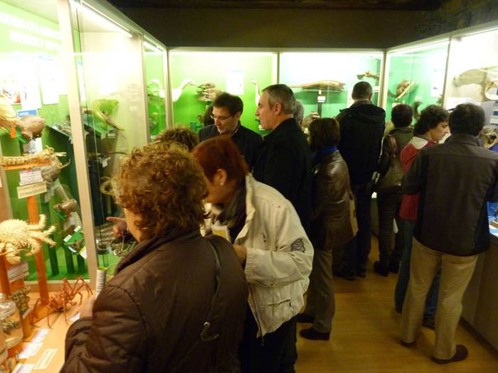 Hontza Museoak ekinodermatuen erakusketa inauguratuko du