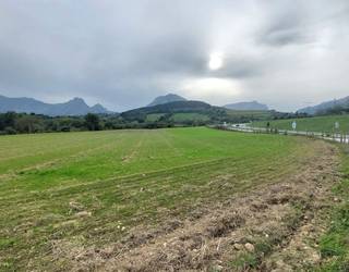 Durangoko ortu ludikoek 30 partzelatik gora izango dute