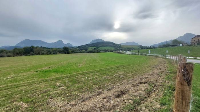 Durangoko ortu ludikoek 30 partzelatik gora izango dute