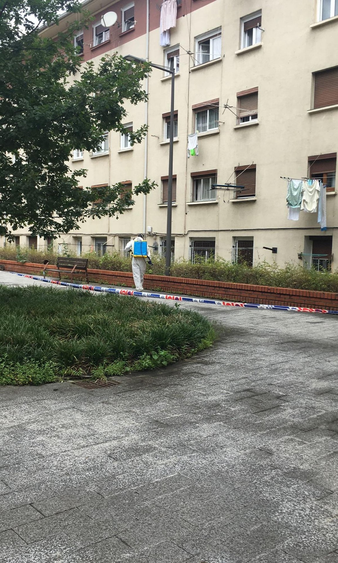 Beldar izurri bati aurre egiteko neurriak hartu dituzte Durangoko San Fausto auzoan