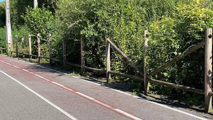 Egurrezko hesiak ostu dituzte Astola Bidean