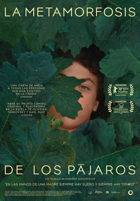 'La metamorfosis de los pájaros'