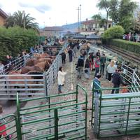 Boroako III. Abelburu eta Nekazaritza Azoka egingo dute domekan