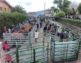 Boroako III. Abelburu eta Nekazaritza Azoka egingo dute domekan