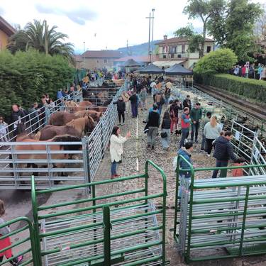Boroako III. Abelburu eta Nekazaritza Azoka egingo dute domekan