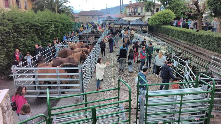 Boroako III. Abelburu eta Nekazaritza Azoka egingo dute domekan