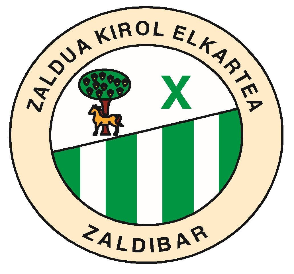 Zaldua kirol elkarteak saskibaloi udalekuak antolatuko ditu
