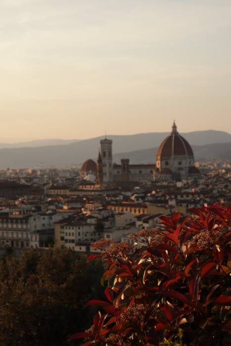 Florentziako begiratokia