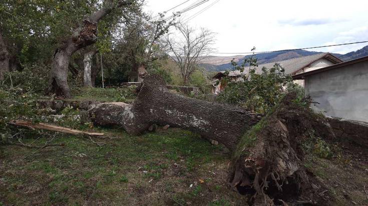 [ARGAZI GALERIA] Haizeteak 100 urte baino gehiagoko arteak bota ditu Garain