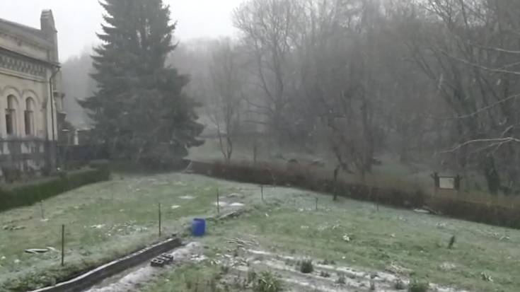 [BIDEOA] Urkiola bisitatu du elurrak