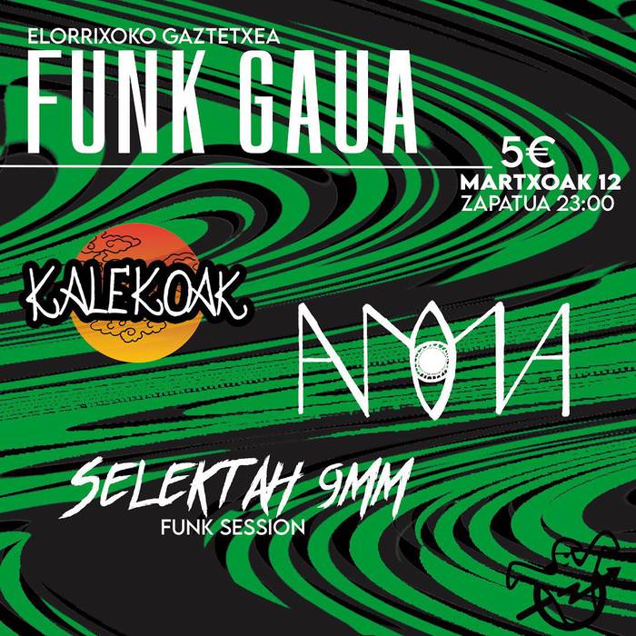 Funk gaua