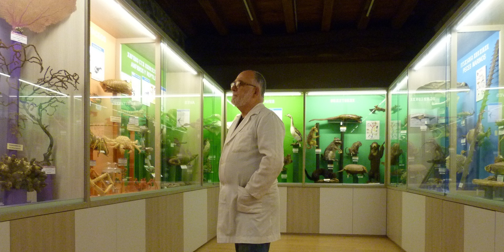 Laster zabalduko dute natura-zientzien Hontza museoa