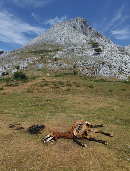 Zabalandin naturaren errealitate gordina