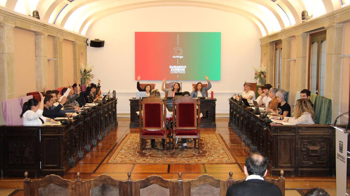 Adinekoen zentro berria, aparkalekuak eta  kirolgunea, Durangoko inbertsioetan