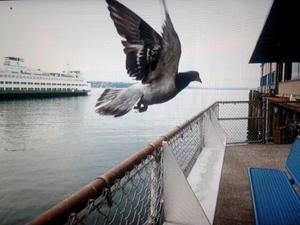 Zaloa Fuertesek 'Egun bat, argazki bat' aurkeztu du