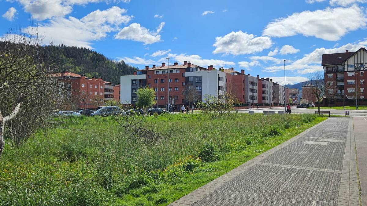 Alokairu publiko 54 etxebizitza Muntsaratzen