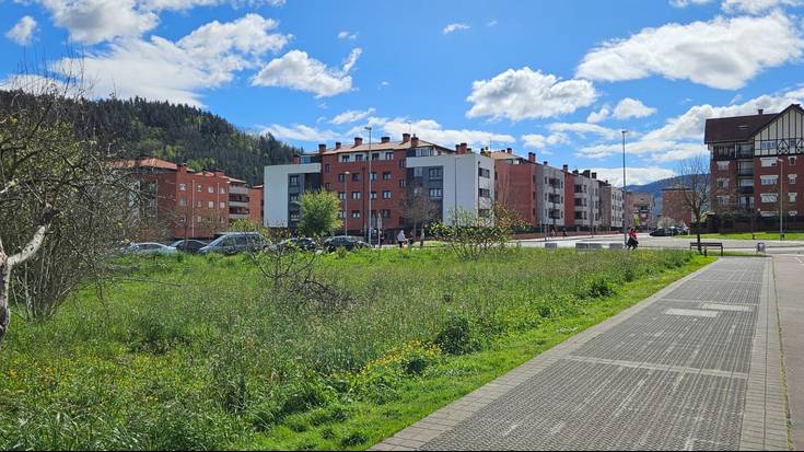 Alokairu publiko 54 etxebizitza Muntsaratzen