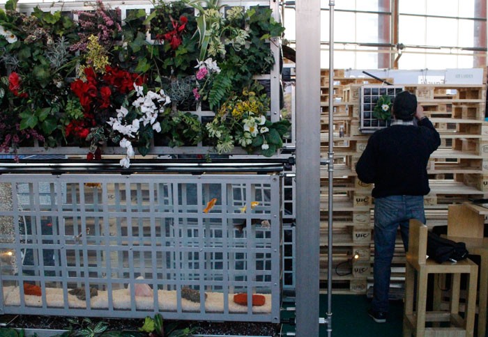 Produktu ekologiko eta naturalei lekua egingo die Berdeago azokak, iraupena luzatuta