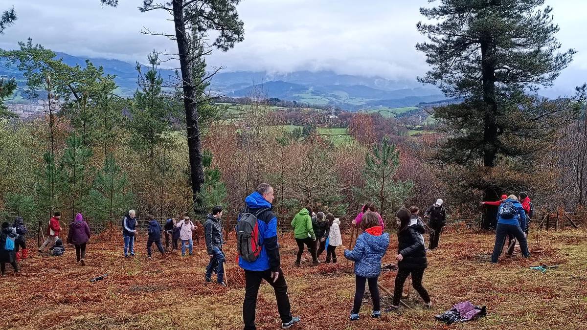 Durangoko ikasleek 50 arbola landatuko dituzte domekan
