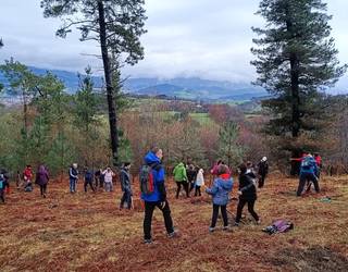 Durangoko ikasleek 50 arbola landatuko dituzte domekan