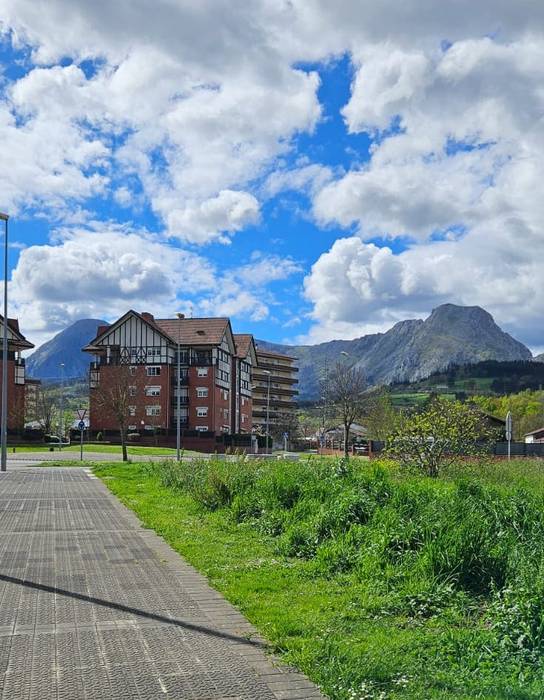 Muntsaratzen alokairuko 84 etxebizitza eraikitzeko proiektua, lizitaziora