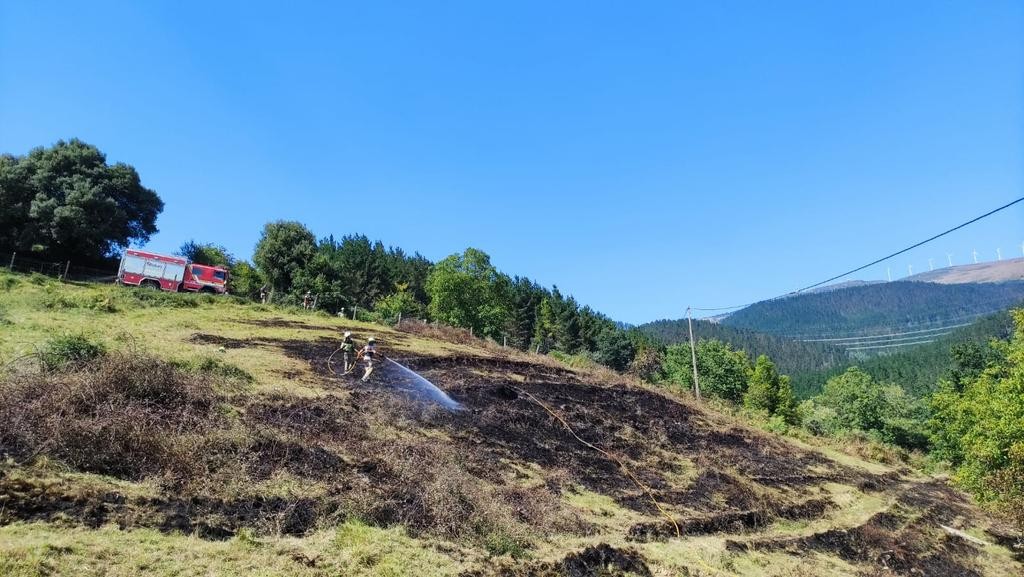 Garaiko zelai batean isioturiko sutea amatatu dute
