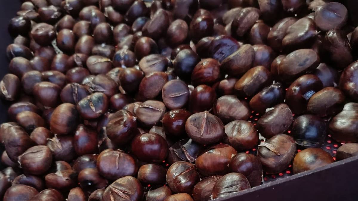 Sahararen aldeko Gaztañerre egingo dute Berrizen, gaur