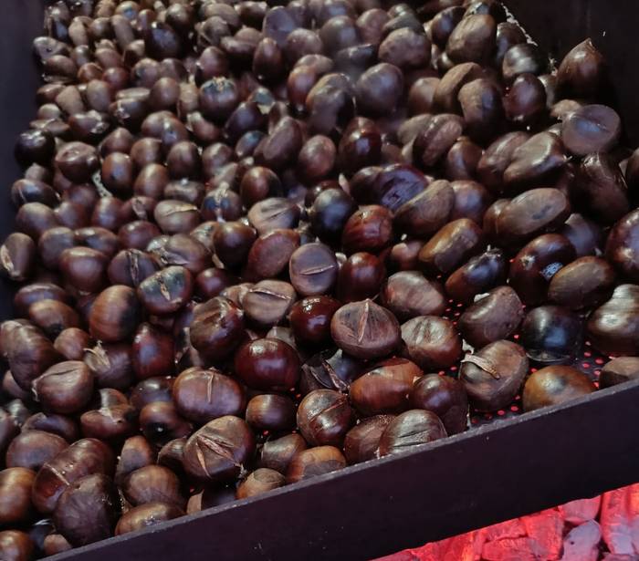 Sahararen aldeko Gaztañerre egingo dute Berrizen, gaur