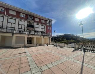 Berrizko Udalak Margarita Maturanako etxe bi salgai ipini ditu