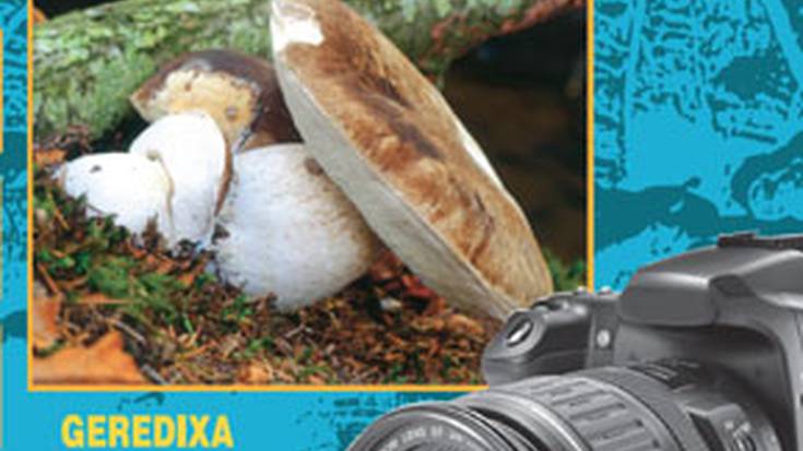 XV. Argazki Lehiaketa