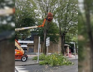 Premiazko esku hartzea egin dute Madalenako ezki batean