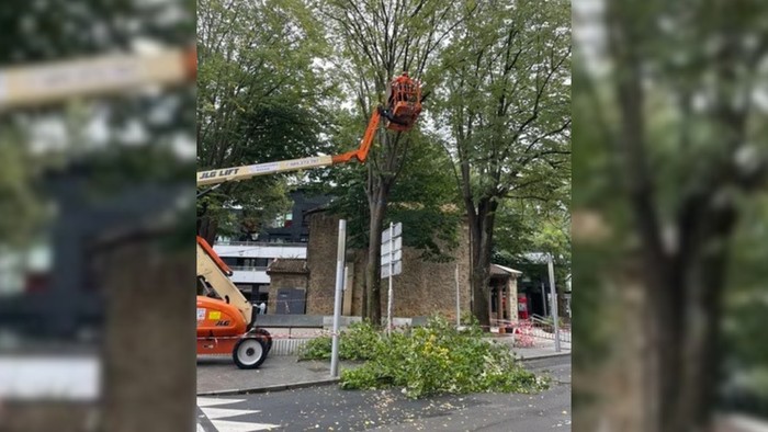Premiazko esku hartzea egin dute Madalenako ezki batean