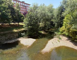 78 urteko gizon baten gorpua aurkitu dute Iurretako Ibaizabal errekan